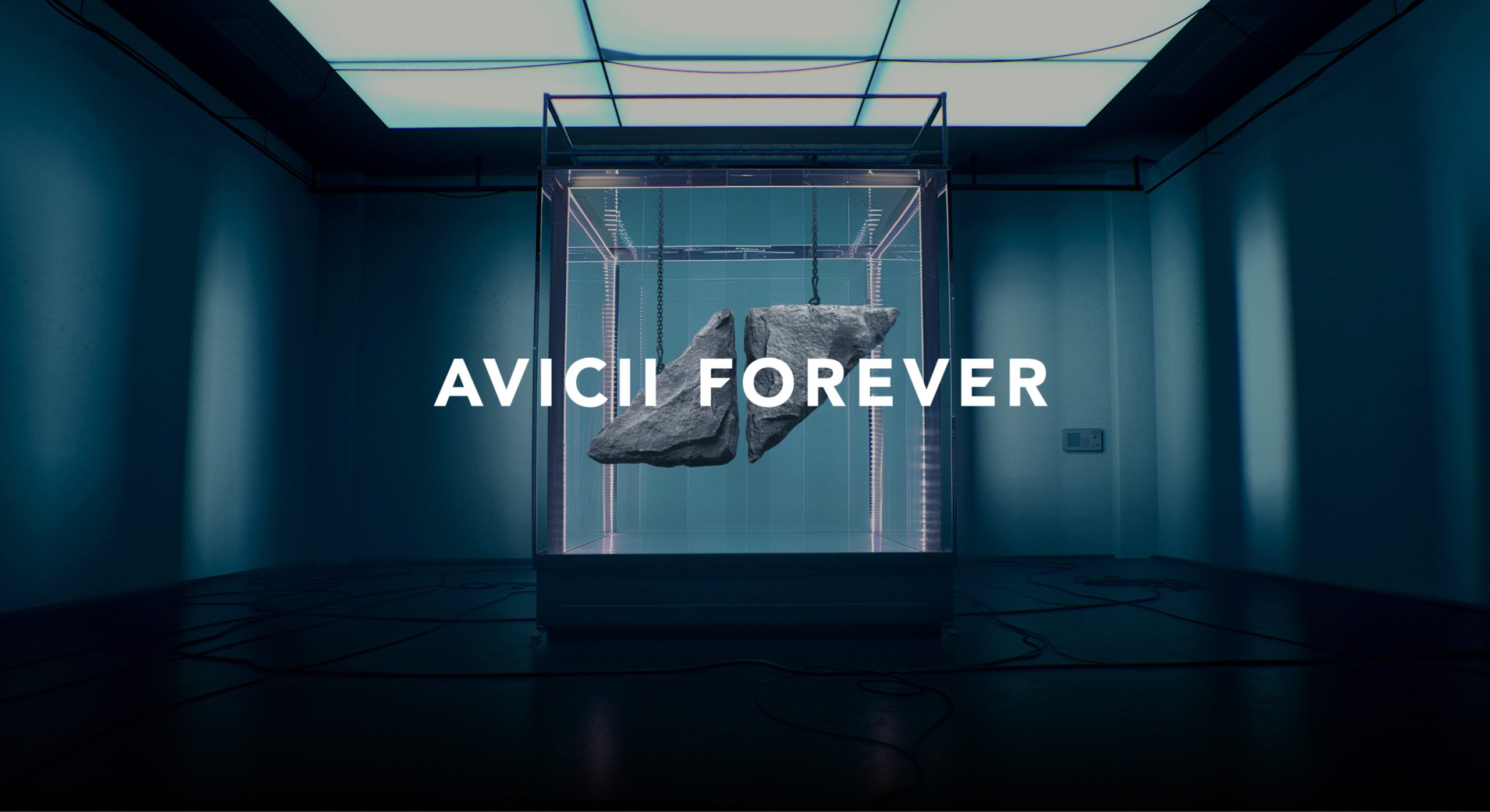 aviciiwebsiteheaderlogo2x-scaled